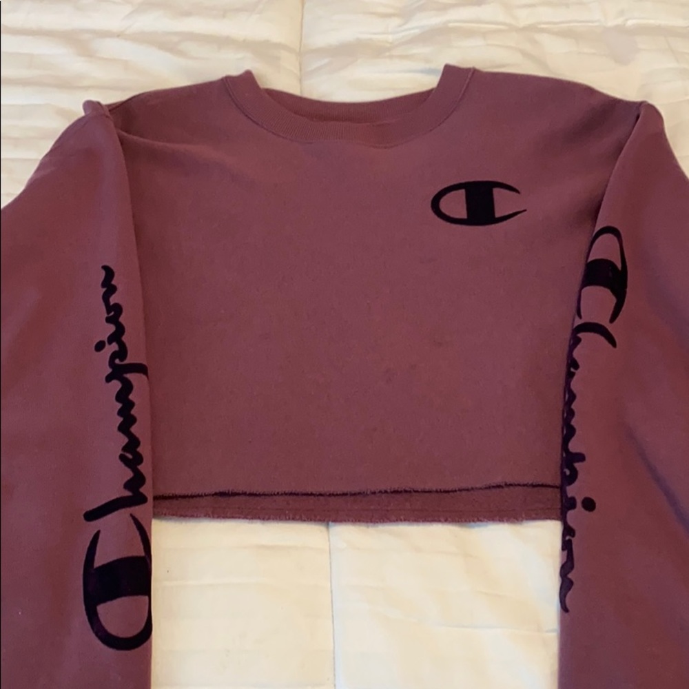 Cutest Champion cropped sweater